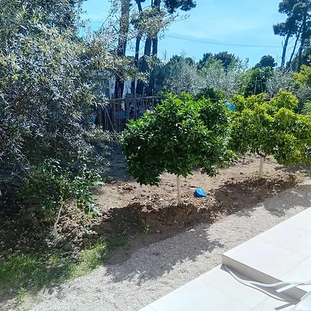 Dioni Dream Free Parking Apartment Vlore